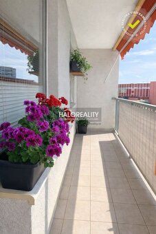 Real Estate Agency HALO Reality and Dana Kupcikova