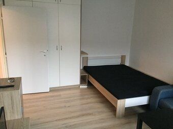 Oferuję na wynajem 1-pokojowe mieszkanie w Bratysławie