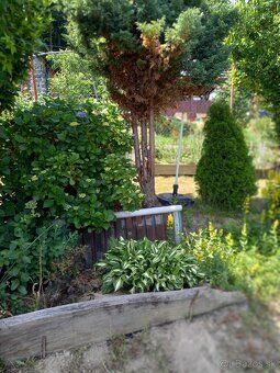 🌿 NA SPRZEDAŻ DZIAŁKA Z DOMKIEM KAWALERSKIM 🌿 📍 Divín