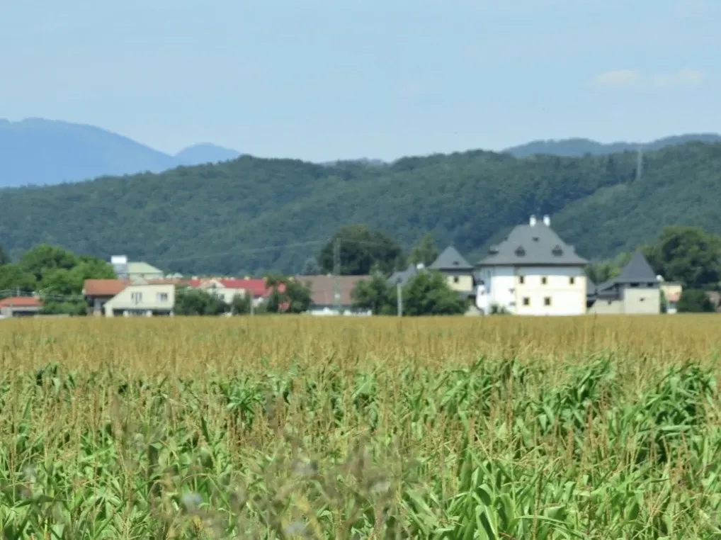 Společnost Slovak Estate s.r.o. nabízí k prodeji zemědělské