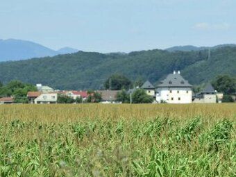 Společnost Slovak Estate s.r.o. nabízí k prodeji zemědělské