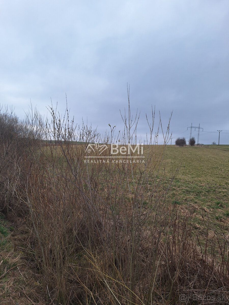 Typ: Pozemky - bývanie Ulice: . Obec: Galovany ID