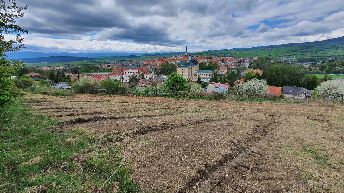 Ponúkame na predaj najlukratívnejšie pozemky v Levoči s
