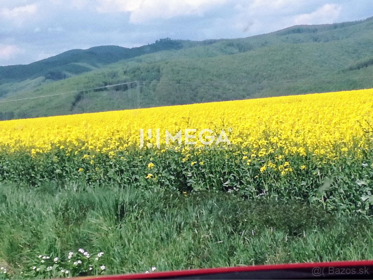Typ: Poľnohospodárske a lesné pozemky Ulica: Kamenica Obec: 