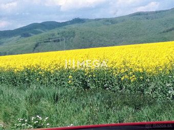 Typ: Poľnohospodárske a lesné pozemky Ulica: Kamenica Obec: 