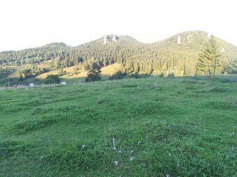 Na prodej nabízíme pozemek o rozloze 2098 m², který se