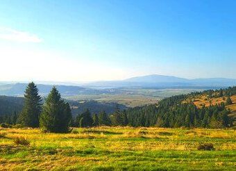 Oferuję odstąpienie od praw najmu dla działki ogrodowej