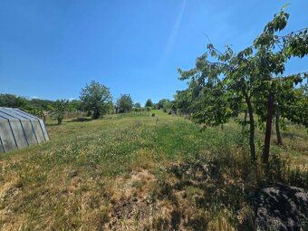 PAVLOVA - family house for sale with nice land. RECOMMENDED