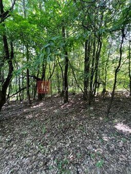 AstonReal oferuje ekskluzywnie na sprzedaż rekreacyjny