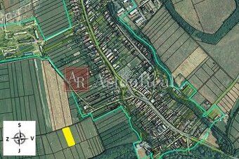 AstonReal пропонує в ексклюзивному представленні власника
