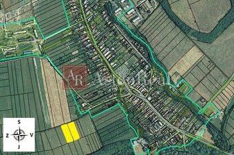 AstonReal пропонує в ексклюзивному представленні власника