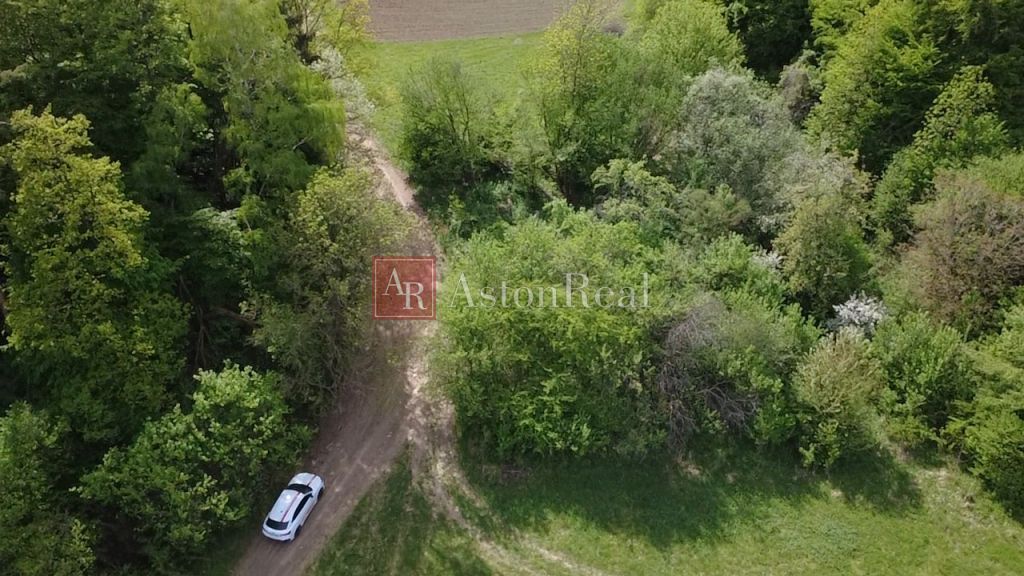 AstonReal oferuje w wyłącznym przedstawicielstwie na