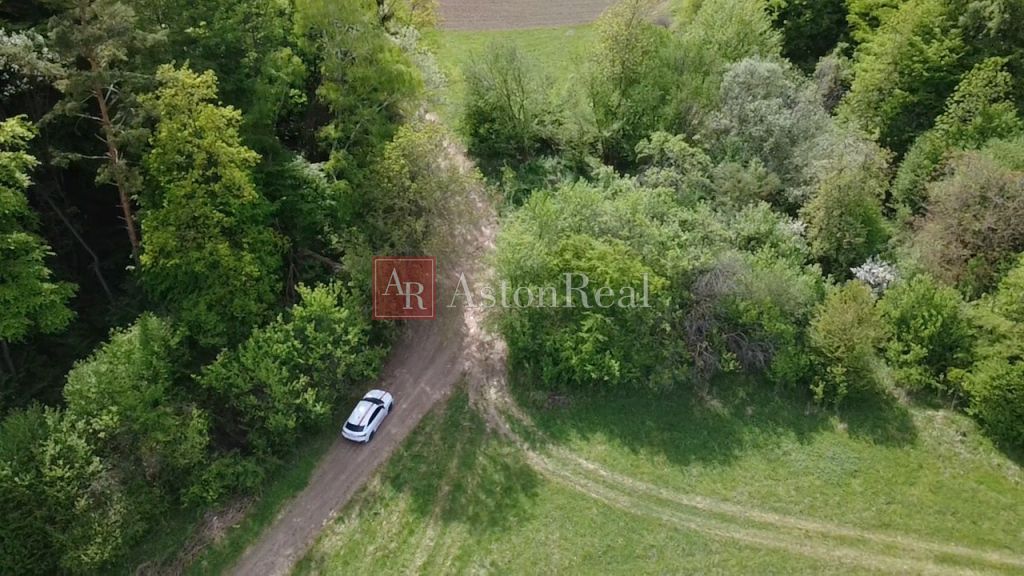 AstonReal oferuje w wyłącznym przedstawicielstwie na