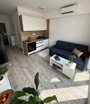 Nabízím 2 - pokojový byt o výměře 57 m2 k pronájmu za cenu