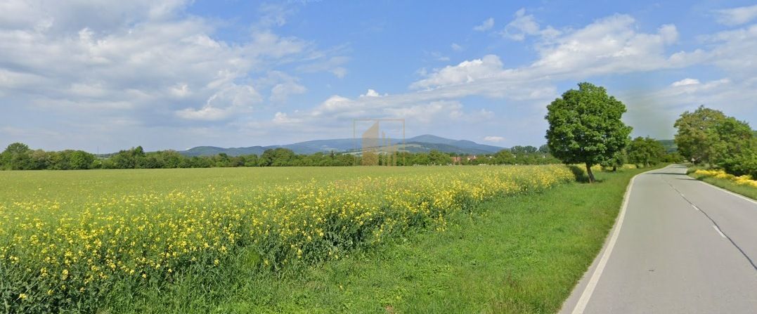 В ексклюзивному представленні власника ми готуємо до