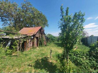 V obci Vinodol, okr. Nitra (přibližně 20 km). Starší
