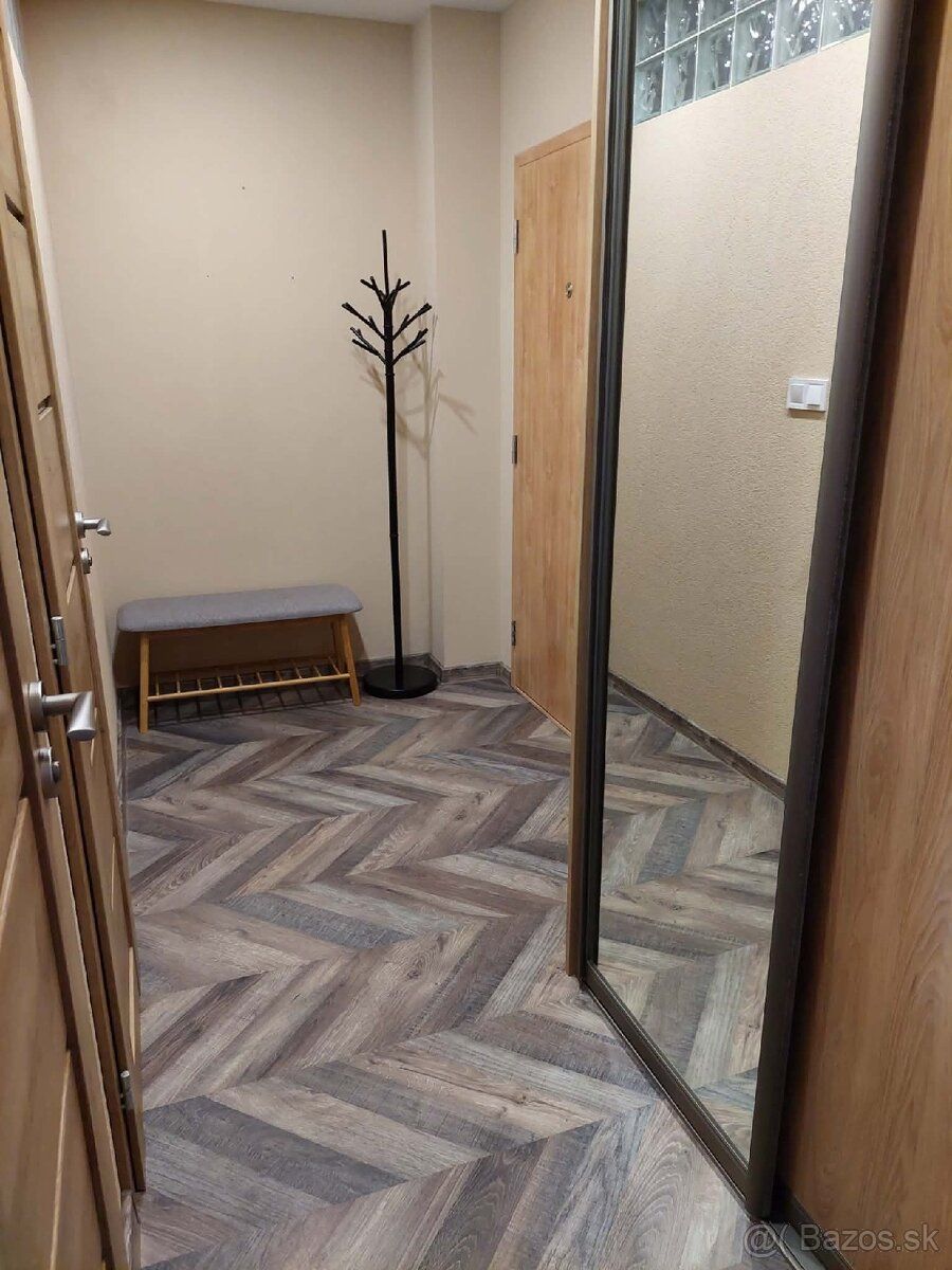 Pronajmu pracující ženě 1izbový byt na Levočské ulici v