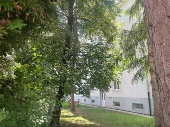Na sprzedaż słoneczne i całkowicie wyremontowane 2-pokojowe