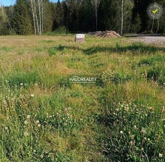 Agencja nieruchomości HALO Reality i Stefan Jurčišin