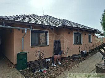 Przedmiotem licytacji są dwa domy jednorodzinne w Nitrze