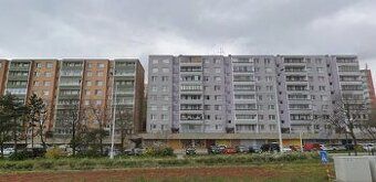 Nájemné místo k pronájmu v Karlovej Vsi. Smlouva na 1 rok