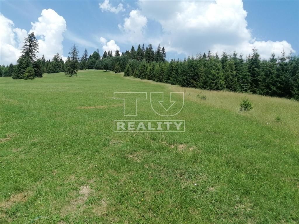 The property agency offers you for sale an attractive land
