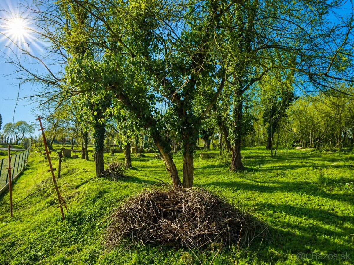 Nabízíme k prodeji pozemek v Novém Městě nad Váhom v části