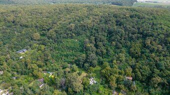 Představte si, že vlastníte více než 4 500 m² přírody jen
