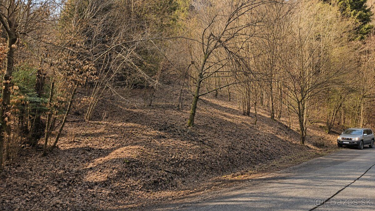 Prodám pozemek v lokalitě Banská Štiavnica – katastrální