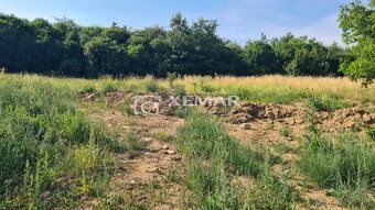 XEMAR ( lub 0915, 142 544 ) oferuje do sprzedaży