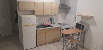 Nabízím dlouhodobý pronájem 1,5 pokojového bytu kompletně zařízeného