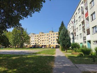 Oferuję słoneczne, suche 2-pokojowe mieszkanie w dzielnicy