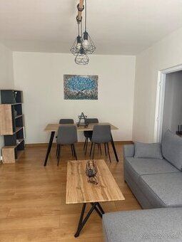 Nabízíme k pronájmu velký 1+1 byt v ulici Ostravská -