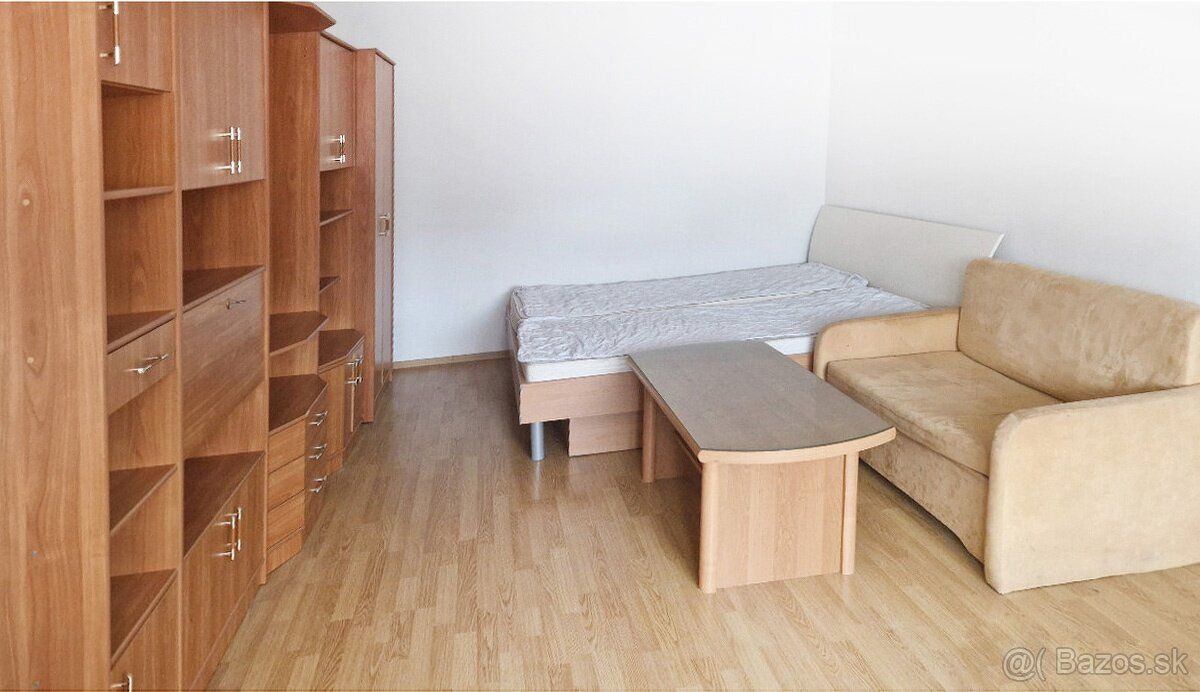 Nabízíme k pronájmu velký 1+1 byt v ulici Ostravská -