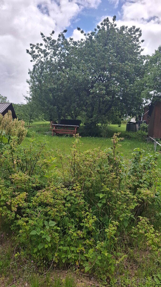 OGRÓDEK BANISKO - 430 m², DRZEWA OWOCOWE, Dobra lokalizacja Przed