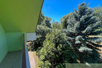 Enjoy peace, privacy and unique atmosphere of your own piece of paradise