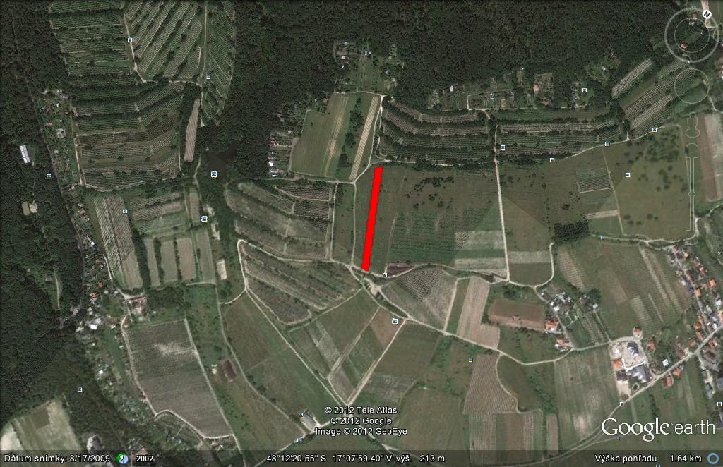 Prodám neobdělaný vinici v Rači, parcelní číslo 8949, 1078 m² +