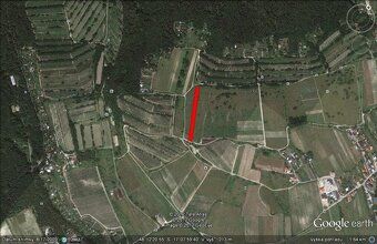Prodám neobdělaný vinici v Rači, parcelní číslo 8949, 1078 m² +