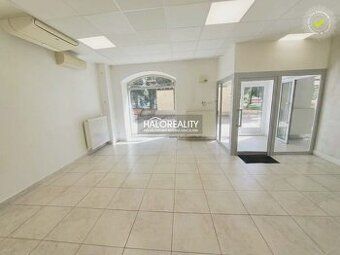 Real Estate Agency HALO Reality and Darina Sedliaková, contact