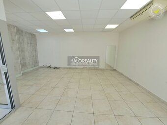 Real Estate Agency HALO Reality and Darina Sedliaková, contact