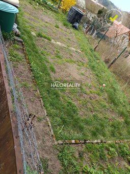 Realitní kancelář HALO reality a Darina Sedliaková, kontakt