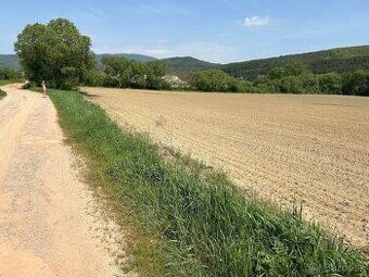 Predám ornú pôdu, tri parcely E v k.ú. Podlužany (okres Báno