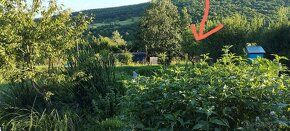 Dopřejte si výjimečný odpočinek v netradiční přírodní chatce,
