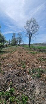 Nabízíme k prodeji pozemek o ploše 2896 m2 určený ke stavbě