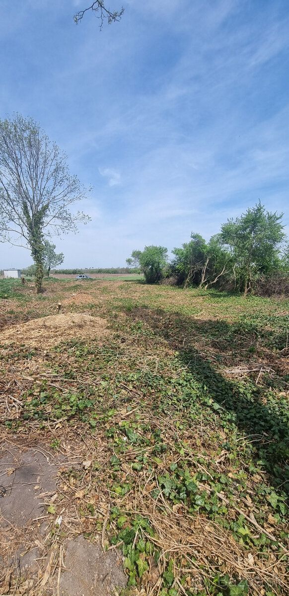 Nabízíme k prodeji pozemek o ploše 2896 m2 určený ke stavbě