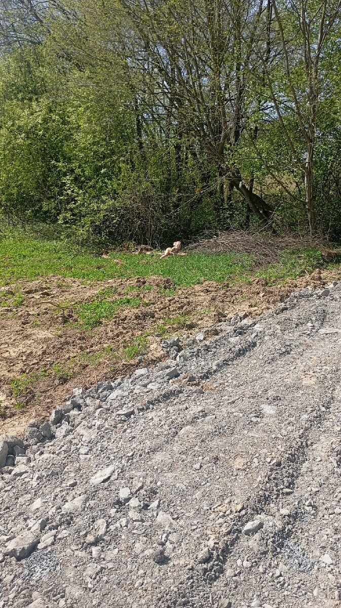 Prodám výjimečný stavební pozemek v obci Liesek. Bližší informace