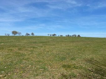 Na prodej pozemek o ploše 92 000 m² na okraji obce Čabradský Vrbovok