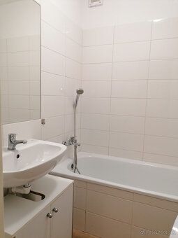 Do wynajęcia – przestronny i słoneczny 1,5-pokojowy