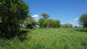 Type: Land for family houses City district: Dolina Village: Mel