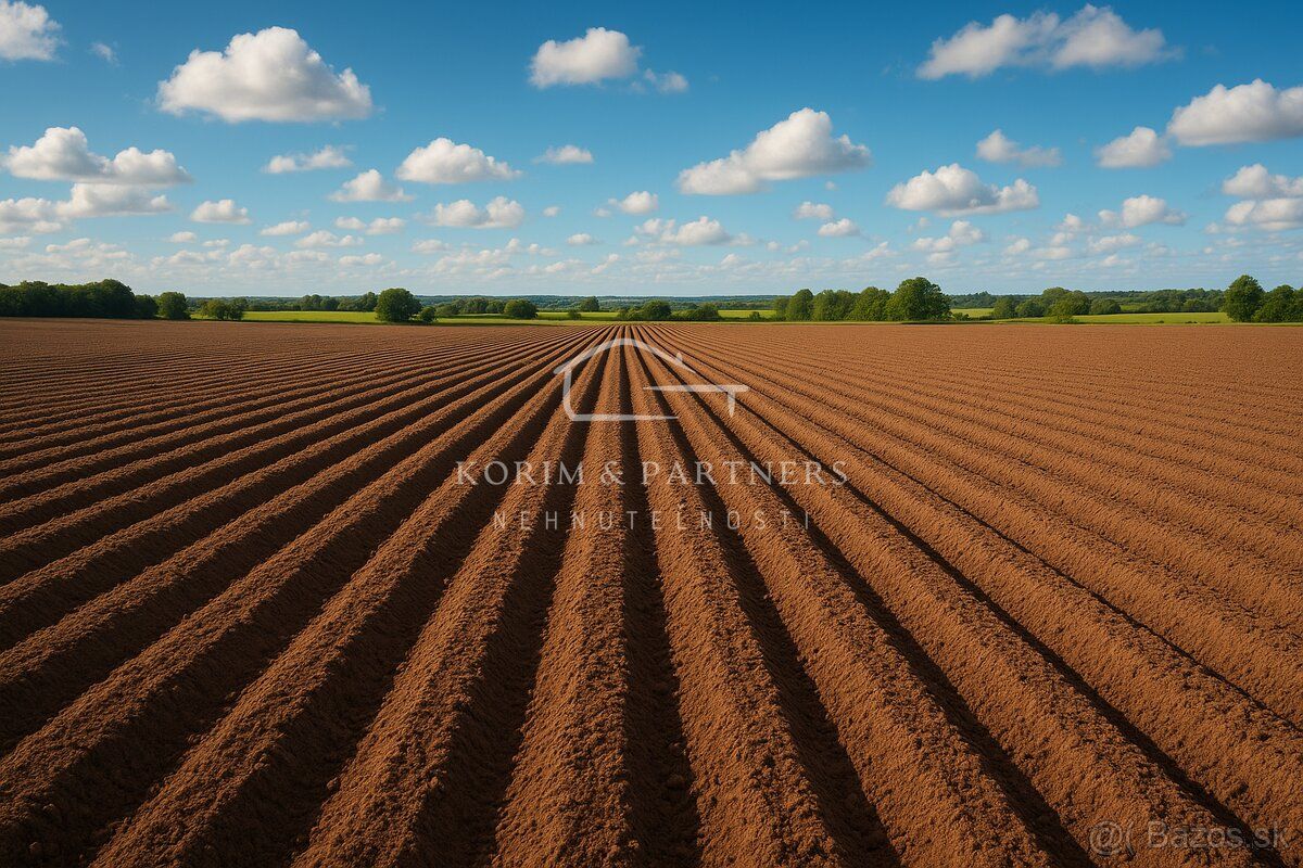 Type: Other agricultural land Village: Stuliany Looking for plots of land